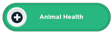 Animal Health