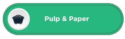 Pulp & Paper