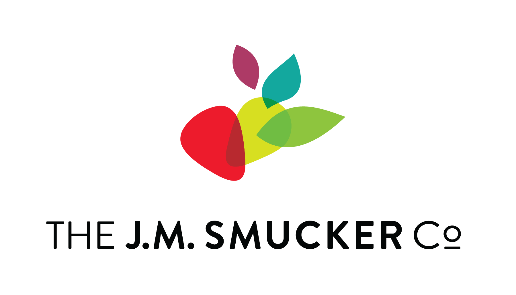 JMS logo